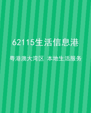 大湾区信息港